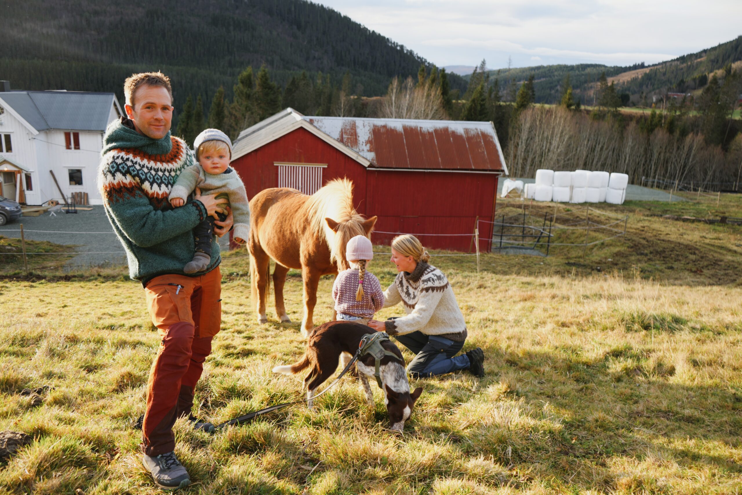 Realiserte drømmen om småbruk i Orkland: – Her kan ungene løpe fritt